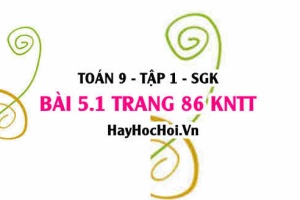 Bài 5.1 Toán 9 tập 1 SGK Kết nối tri thức